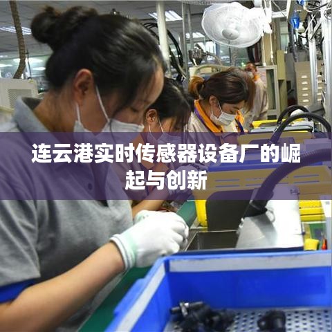 连云港实时传感器设备厂的崛起与创新