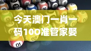 今天澳门一肖一码10O准管家娶吗,数据解析计划导向_tool5.939