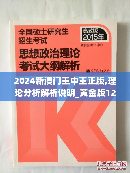 2024新澳门王中王正版,理论分析解析说明_黄金版12.102