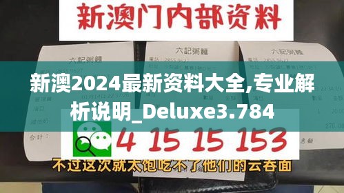 新澳2024最新资料大全,专业解析说明_Deluxe3.784