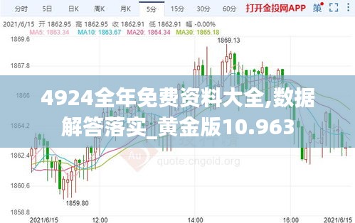 4924全年免费资料大全,数据解答落实_黄金版10.963