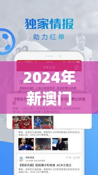 2024年新澳门夭夭好彩,最佳精选解释落实_理财版8.335