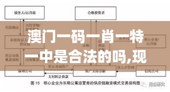 澳门一码一肖一特一中是合法的吗,现象解释管理_安卓6.587