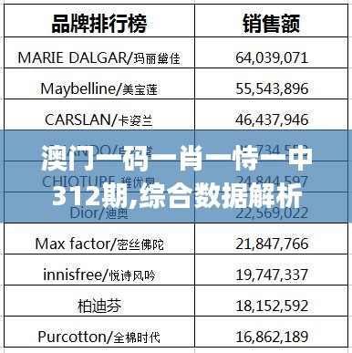 澳门一码一肖一恃一中312期,综合数据解析说明_粉丝款6.238