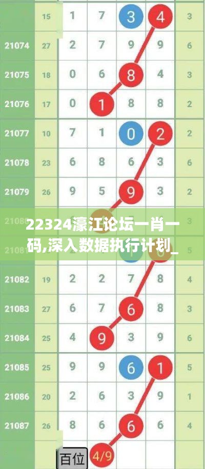 22324濠江论坛一肖一码,深入数据执行计划_DP2.185