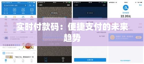 实时付款码：便捷支付的未来趋势