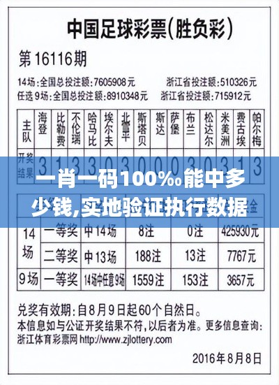 一肖一码100‰能中多少钱,实地验证执行数据_黄金版11.678