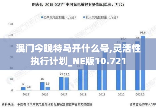 澳门今晚特马开什么号,灵活性执行计划_NE版10.721