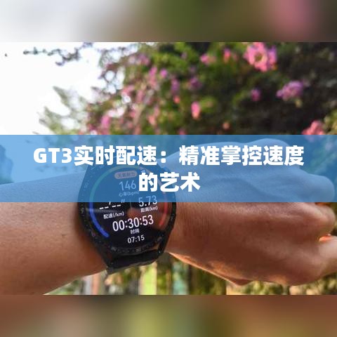 GT3实时配速：精准掌控速度的艺术