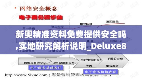 新奥精准资料免费提供安全吗,实地研究解析说明_Deluxe8.570