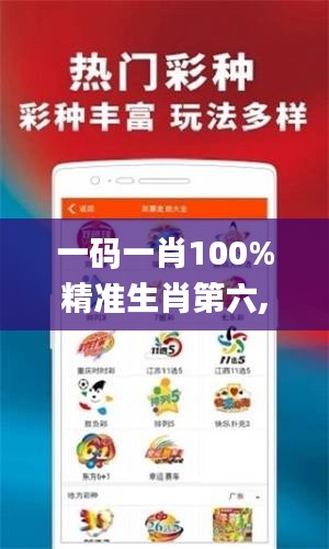 一码一肖100%精准生肖第六,快速方案落实_特供版7.182