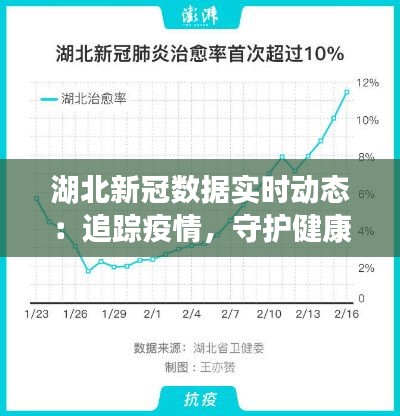 湖北新冠数据实时动态：追踪疫情，守护健康