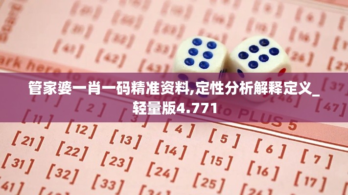 管家婆一肖一码精准资料,定性分析解释定义_轻量版4.771