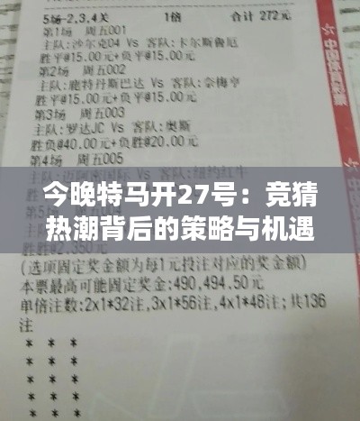 今晚特马开27号：竞猜热潮背后的策略与机遇