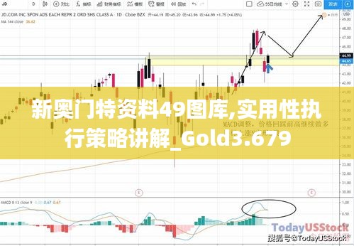 新奥门特资料49图库,实用性执行策略讲解_Gold3.679