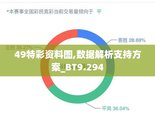 49特彩资料图,数据解析支持方案_BT9.294