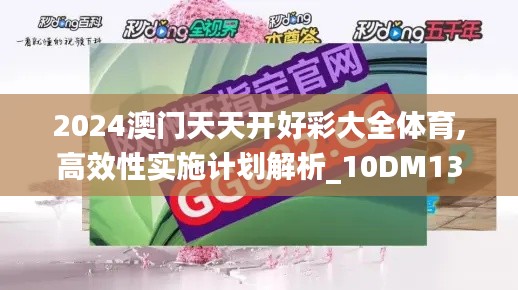 2024澳门天天开好彩大全体育,高效性实施计划解析_10DM13.907