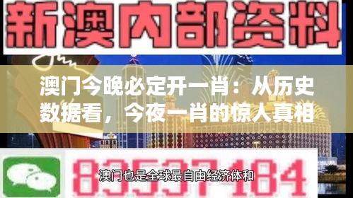 澳门今晚必定开一肖：从历史数据看，今夜一肖的惊人真相