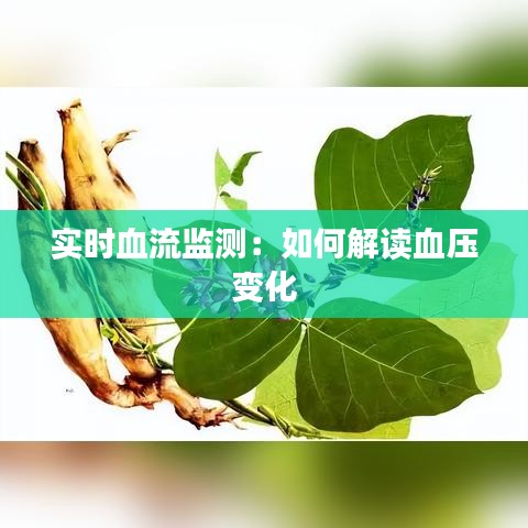 实时血流监测：如何解读血压变化