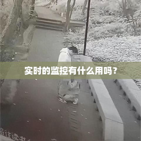 实时的监控有什么用吗？