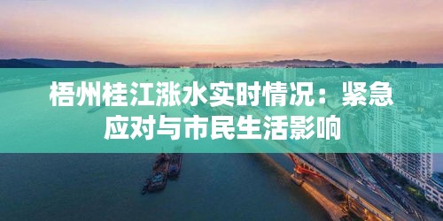 梧州桂江涨水实时情况：紧急应对与市民生活影响