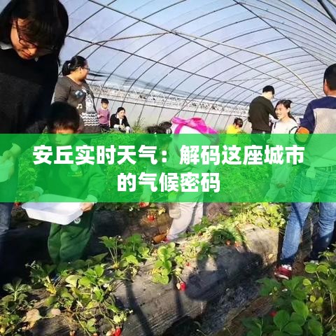 安丘实时天气：解码这座城市的气候密码