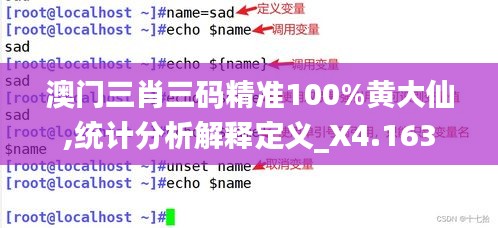 澳门三肖三码精准100%黄大仙,统计分析解释定义_X4.163