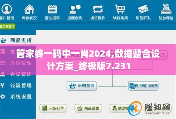 管家婆一码中一肖2024,数据整合设计方案_终极版7.231