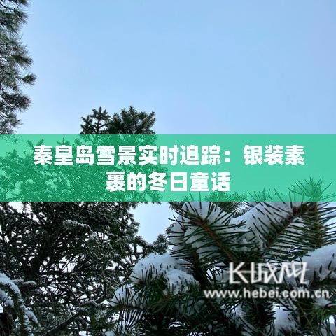 秦皇岛雪景实时追踪：银装素裹的冬日童话