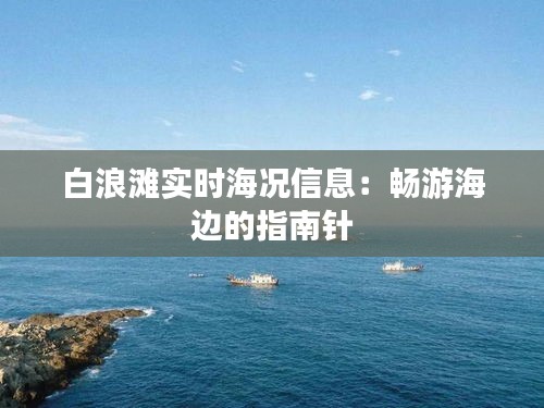 白浪滩实时海况信息：畅游海边的指南针