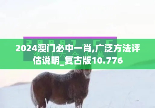 2024澳门必中一肖,广泛方法评估说明_复古版10.776