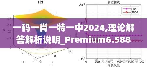 一码一肖一特一中2024,理论解答解析说明_Premium6.588