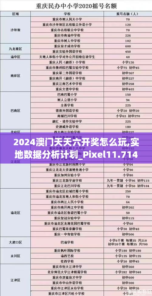 2024澳门天天六开奖怎么玩,实地数据分析计划_Pixel11.714