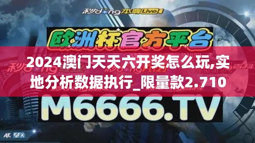 2024澳门天天六开奖怎么玩,实地分析数据执行_限量款2.710