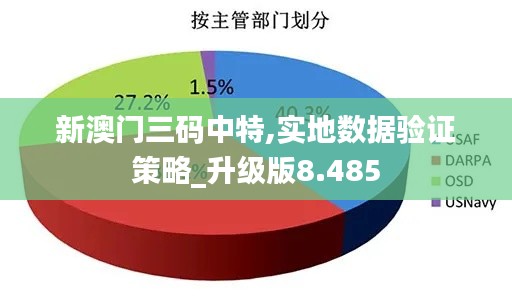 新澳门三码中特,实地数据验证策略_升级版8.485