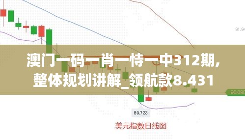 澳门一码一肖一恃一中312期,整体规划讲解_领航款8.431