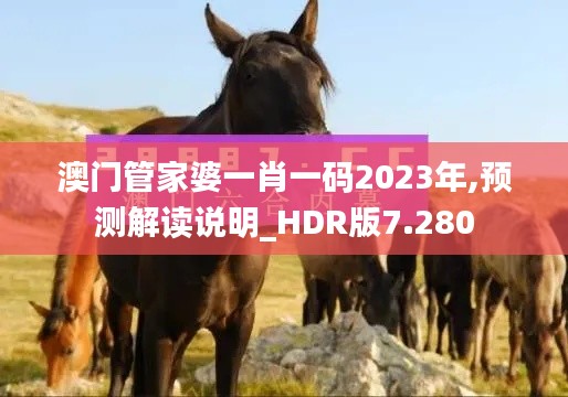 澳门管家婆一肖一码2023年,预测解读说明_HDR版7.280