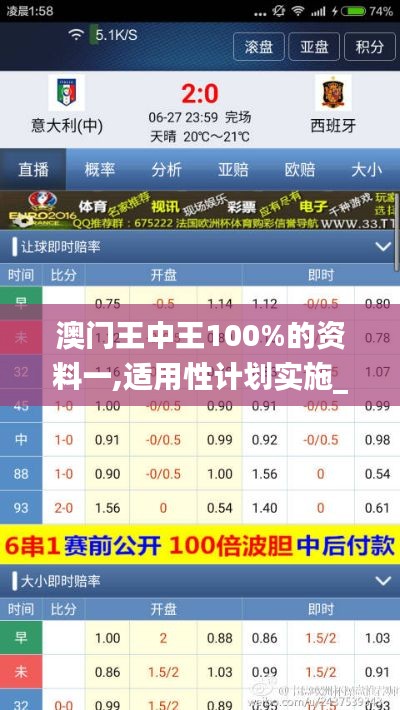 澳门王中王100%的资料一,适用性计划实施_Device9.297