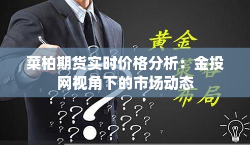 菜柏期货实时价格分析：金投网视角下的市场动态