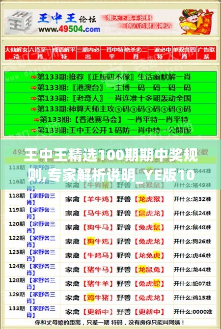 王中王精选100期期中奖规则,专家解析说明_YE版10.839