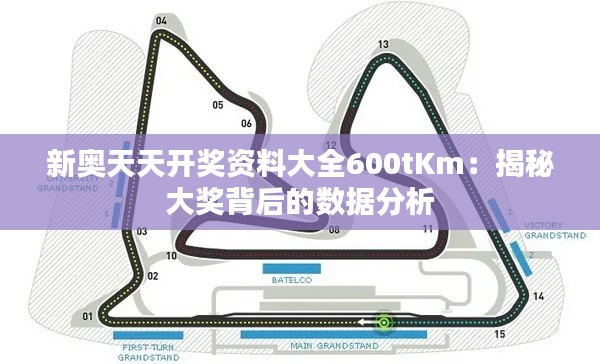 新奥天天开奖资料大全600tKm：揭秘大奖背后的数据分析