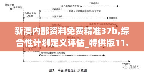 新澳内部资料免费精准37b,综合性计划定义评估_特供版11.905