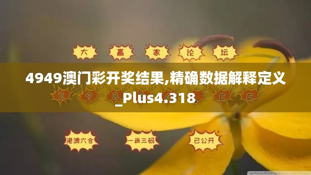 4949澳门彩开奖结果,精确数据解释定义_Plus4.318