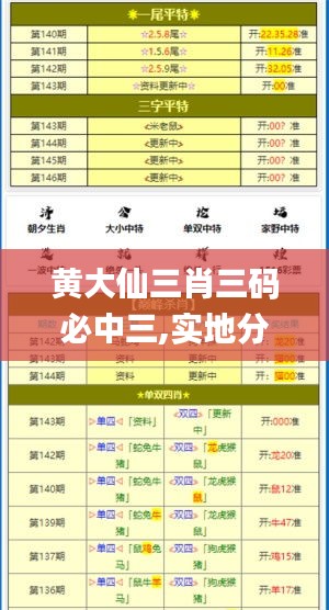 黄大仙三肖三码必中三,实地分析数据设计_优选版3.689