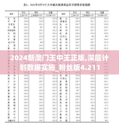 2024新澳门王中王正版,深层计划数据实施_粉丝版4.211