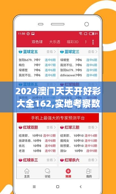 2024澳门天天开好彩大全162,实地考察数据解析_android3.486