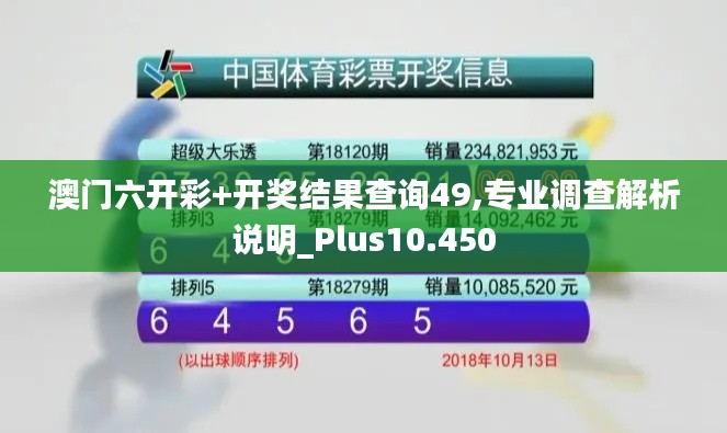 澳门六开彩+开奖结果查询49,专业调查解析说明_Plus10.450