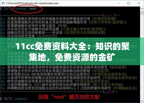 11cc免费资料大全：知识的聚集地，免费资源的金矿