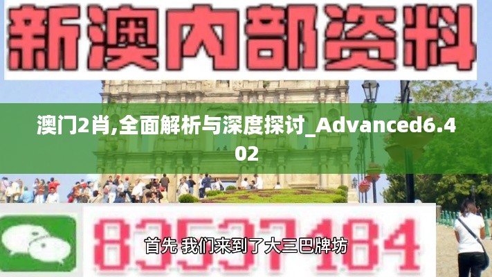 澳门2肖,全面解析与深度探讨_Advanced6.402