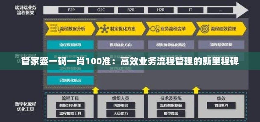 管家婆一码一肖100准：高效业务流程管理的新里程碑